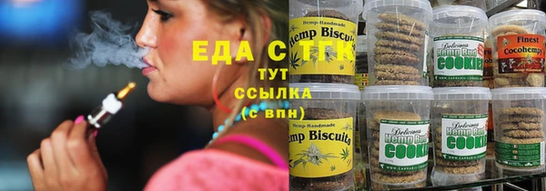 ECSTASY Алзамай
